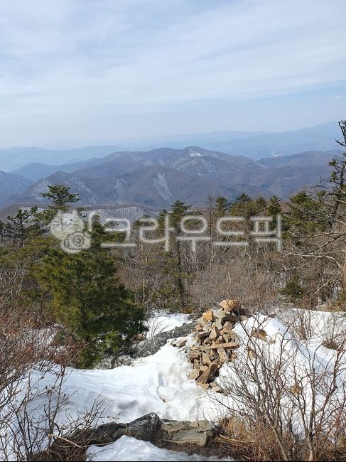 나무,자연,겨울산,하늘,구름,산