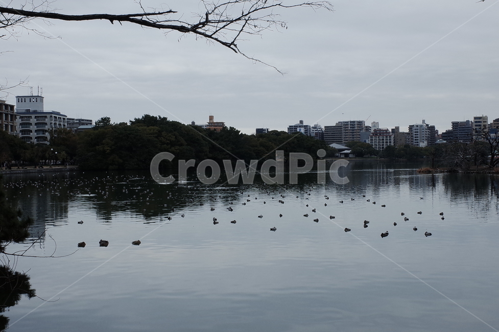 water,물,outdoors,옥외,nature,자연