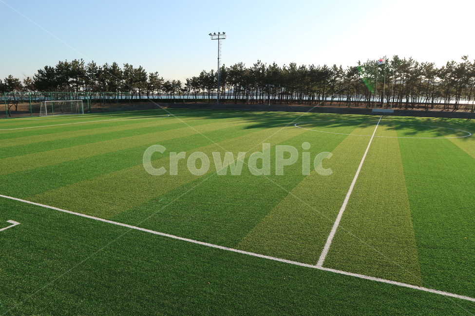 축구장,축구,축구공,인조잔디,운동장,field,잔디,football,스포츠,레저,운동,sports,leisure,exercise