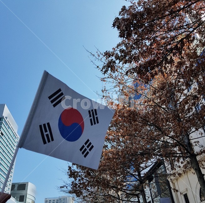 태극기,대한민국,31운동,태극기집회,건곤감리
