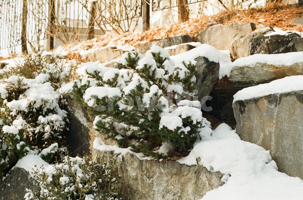 눈,겨울,자연,winter,snow,감성,고즈넉,돌