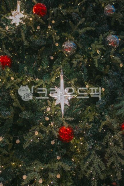 크리스마스,트리,장식,겨울,크리스마스트리,장식품
