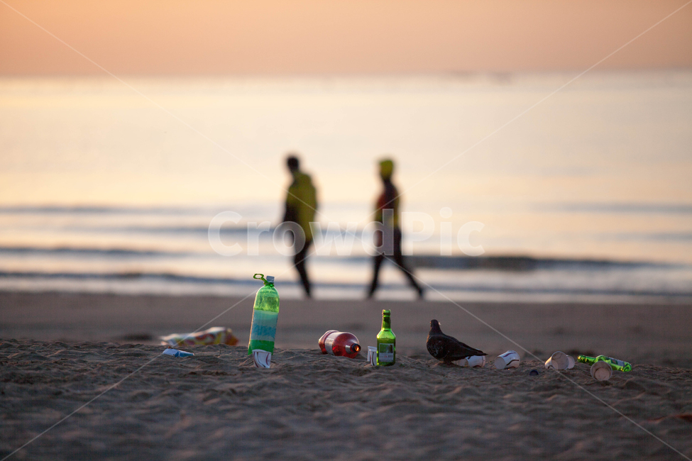 바다,쓰레기,환경,환경문제,해변,비둘기,해변,바다,beach,sea