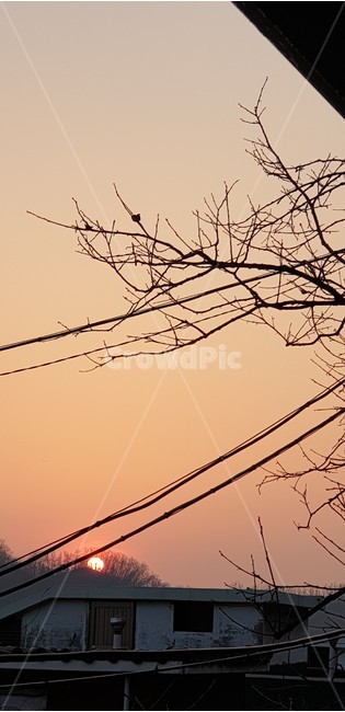 노을,일몰,석양,sunset,sun,태양,노을진하늘,자연,풍경,nature,landscape,outdoors,옥외,sunlight,햇빛