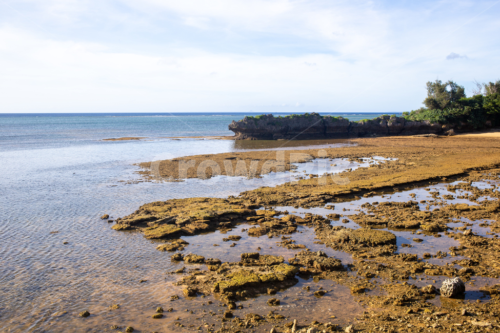 nature,자연,outdoors,해안선,water,물,ocean,sea,바다,오키나와,일본