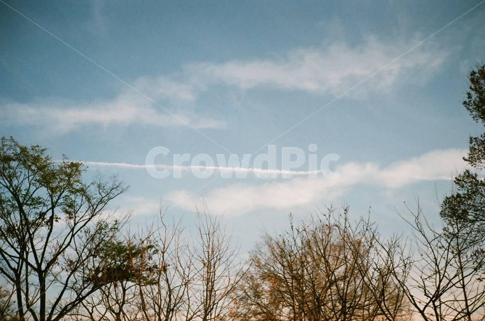필름사진,하늘,나무,구름,자연,자연,풍경,nature,landscape,outdoors,옥외