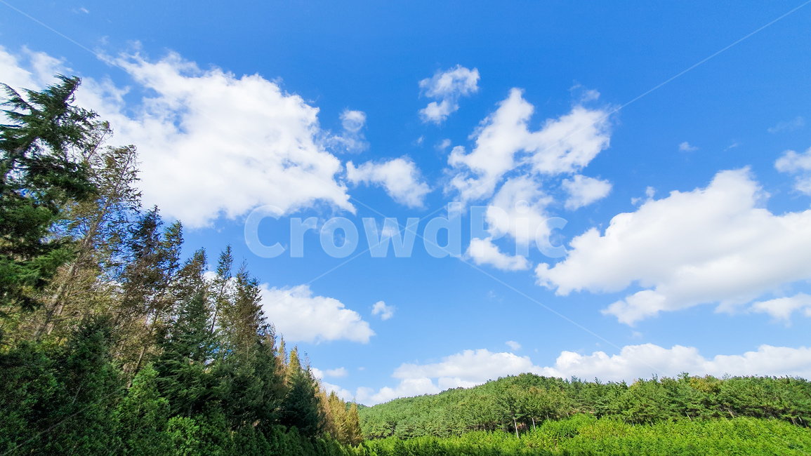 nature,자연,outdoors,옥외,tree,나무,plant,식물,하늘,구름,푸른하늘,풍경,경치,배경화면,sky,산,mountain,cloud,landscape,자연,풍경,nature,landscape