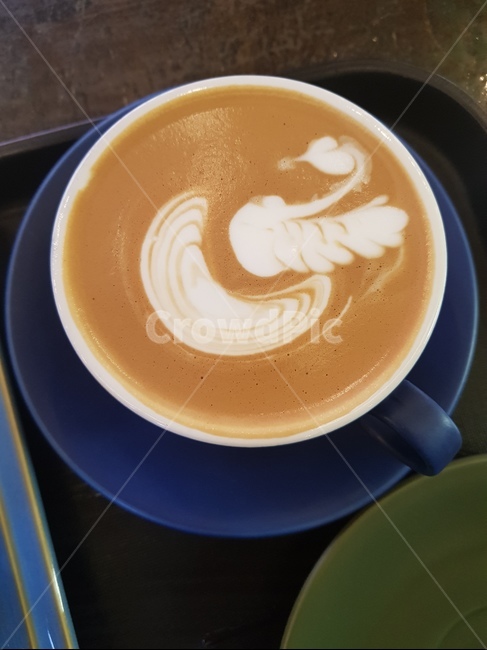 카페,라떼아트,라떼아트백조,커피,키페라떼,커피,카페,coffee,cafe