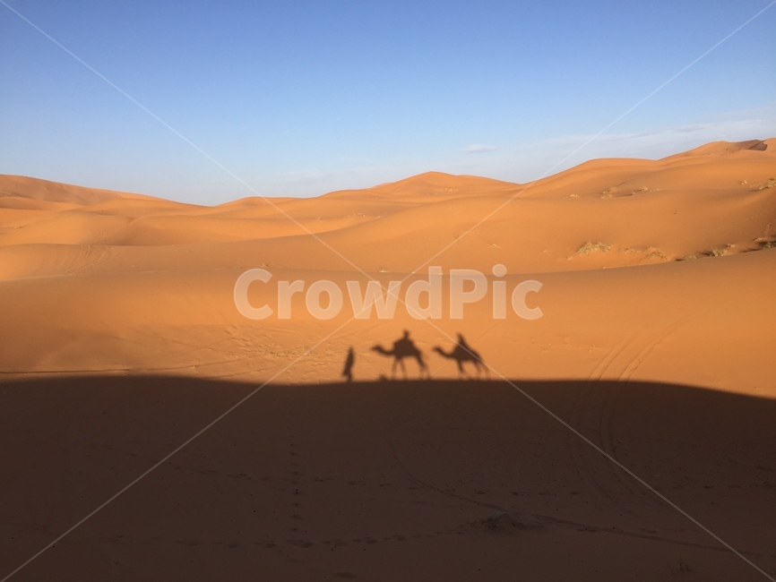 사하라,사하라사막,모래언덕,사막,모래,낙타,낙타그림자,그림자,모로코,자연,nature,dune,sand,흙,soil,outdoors,붉은모래,아프리카,desert,sahara,자연,풍경,nature,landscape,해외,외국,세계,foreign,oversea,world,세계자연풍경,해외자연풍경,외국자연풍경,world nature landscape