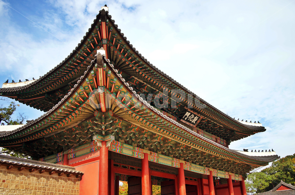 돈화문,창덕궁,정문,보물제383호,광해군,1609년재건,문화재,유산,한국전통,한국문화,korean traditional,korean culture,랜드마크,landmark,tourist attraction,한국랜드마크,한국관광지,한국명소,korea landmark,korea tourist attraction,건축물,건물외관,exterior,building,structure,architecture,construction
