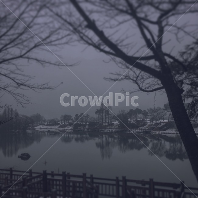 겨울공원,호수,장자못,우울,흐릿함,자연,풍경,nature,landscape,흑백,모노톤,monochrome,black and white