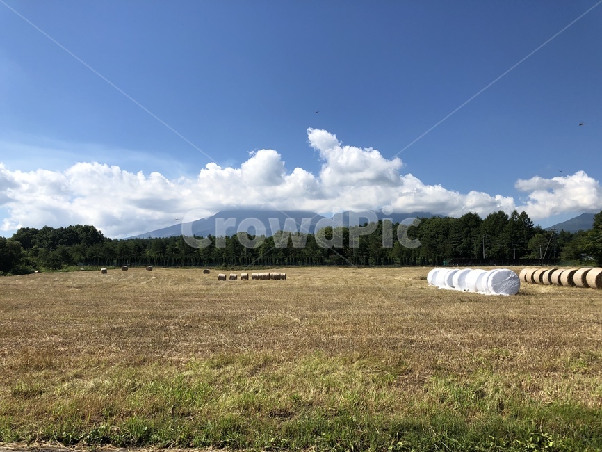 자연,field,아사마산,들판,가을,자연,풍경,nature,landscape,농업,농사,agriculture,farming,farming industry