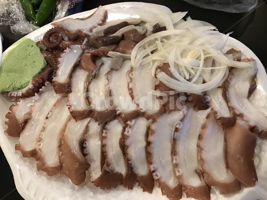 문어,문어회,문어데침,동해문어,동해