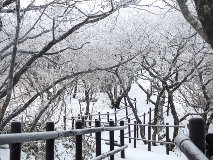겨울,눈,풍경,덕유산,계절,눈꽃,나무,눈발,감성,등산,산,winter,snow,landscape,겨울감성,겨울,계절,winter,season,자연,풍경,nature,landscape,한국자연풍경,한국자연경관,korea nature landscape,식물,plants,나무,trees,wood,handrail,난간,banister,railing
