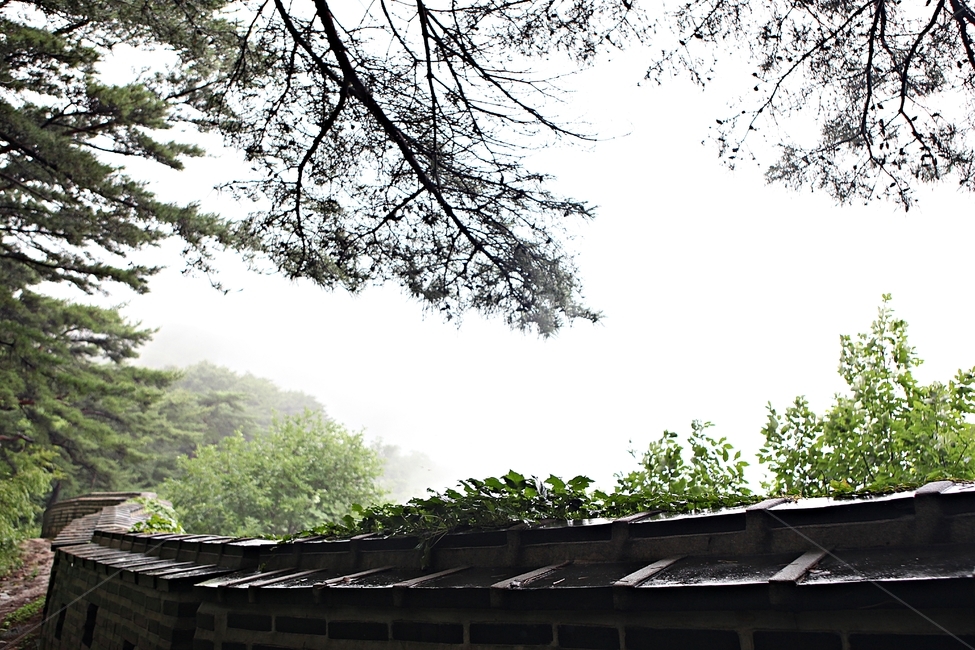 남한산성,성,성곽,길,둘레길,숲,숲길,안개,돌담,담,벽,여름,풍경
