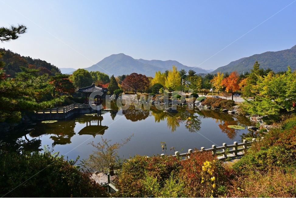 nature,자연,outdoors,옥외,architecture,건축물,water,물,plant,식물,tree,나무,현충원,국립현충원,국립,현충지,추색,가을,계절,만추,단풍,단풍잎,반영,정자,경치,경관,풍경