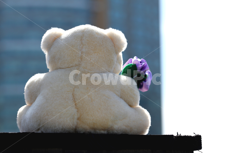 곰,인형,곰인형,베어,곰돌이,장난감,꽃,하늘,감성,뒷모습,뒤태,사물,물건,오브젝트,thing,object,matter