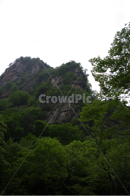 산,바위,풍경,나무,암석,자연,풍경,nature,landscape,outdoors,옥외,cliff,낭떠러지
