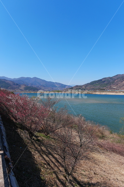 섬진강,봄,풍경,강,강줄기,물,자연,nature,water
