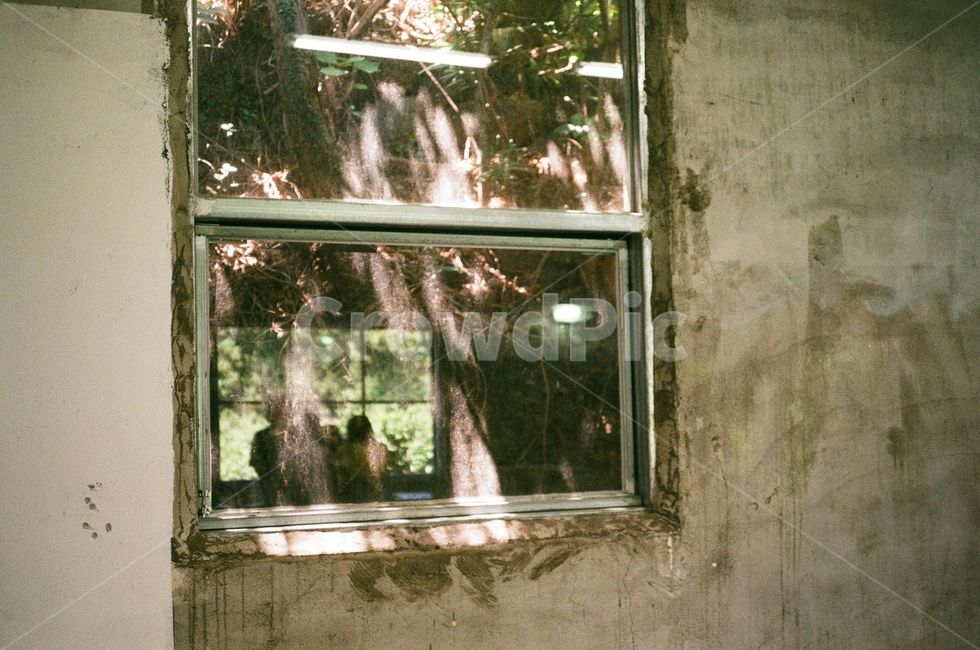 빛,창문,homedecor,그림자,실내,맑음,필름사진,벽