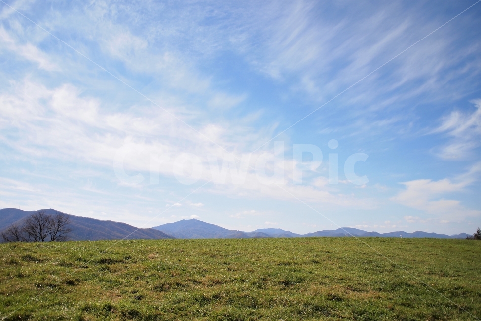 초원,목장,잔디,하늘,평창,광활함,여행,배경화면,감성,자연,풍경,nature,landscape,한국자연풍경,한국자연경관,korea nature landscape,outdoors,옥외,grassland,목초지,field,들
