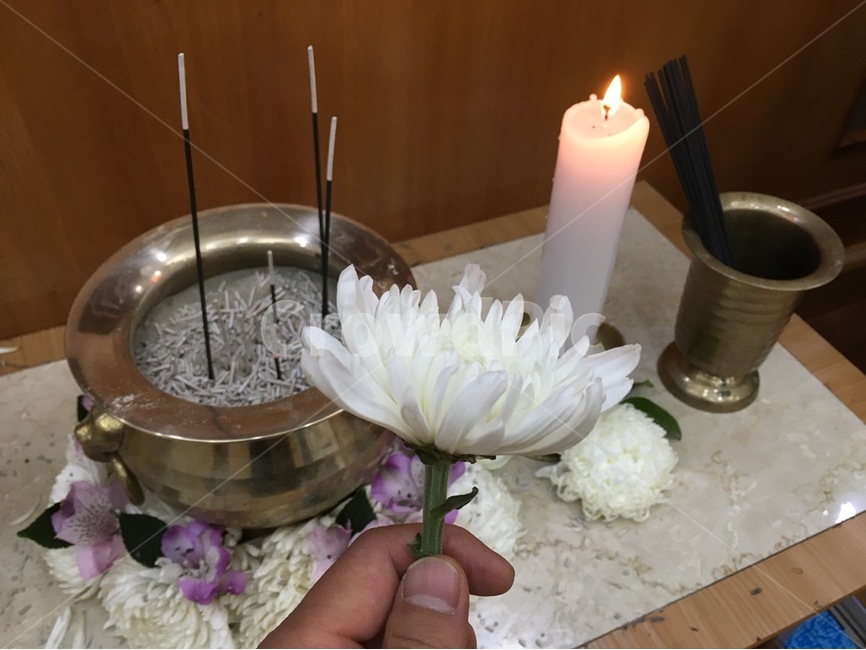 장례식,장례식장,제기,분향,촛불,국화,꽃,flower
