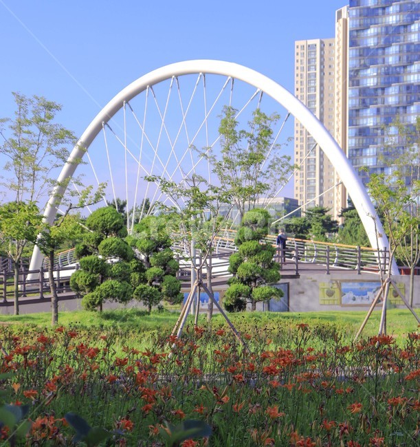 송도,센트럴파크,인천,관광지,한국,힐링,선쎗,songdo,incheon,centralpark,korea,sunset,flower,beautiful,하늘,다리,빌딩,bridge,modern,architecture,모던,건축,쨍쨍,sunny,bloom,tree,nature,도시,풍경,city,landscape,한국도시풍경,한국도시경관,korea cityscape,건축물,건물외관,exterior,building,structure,architecture,construction,outdoors,옥외