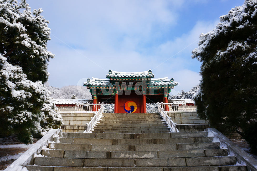 tree,나무,plant,식물,현충사,사당,문화재,겨울,눈,한국전통,한국문화,korean traditional,korean culture,건축물,건물외관,exterior,building,structure,architecture,construction