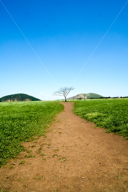 dirtroad,흙길,gravel,자갈,road,들,field,옥외,outdoors,도로,grassland,목초지,ground,바닥