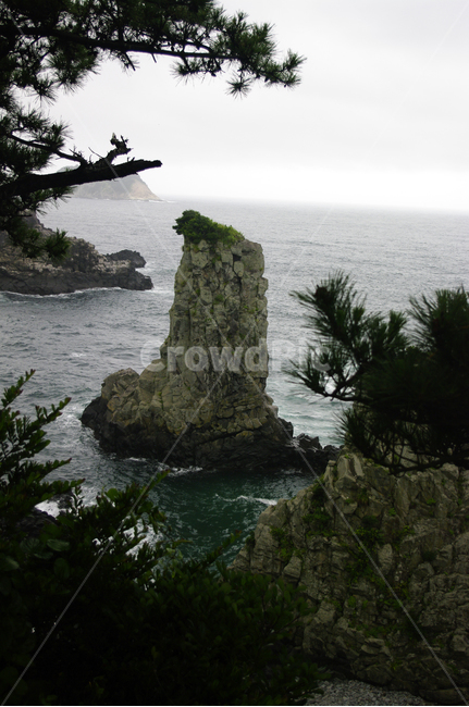 제주,바다,외돌개,바위,풍경,자연,풍경,nature,landscape,한국자연풍경,한국자연경관,korea nature landscape,제주도,jeju,jeju island,outdoors,옥외,land,땅,water,물,shoreline,해안선,sea,ocean,대양,coast,연안,island,섬