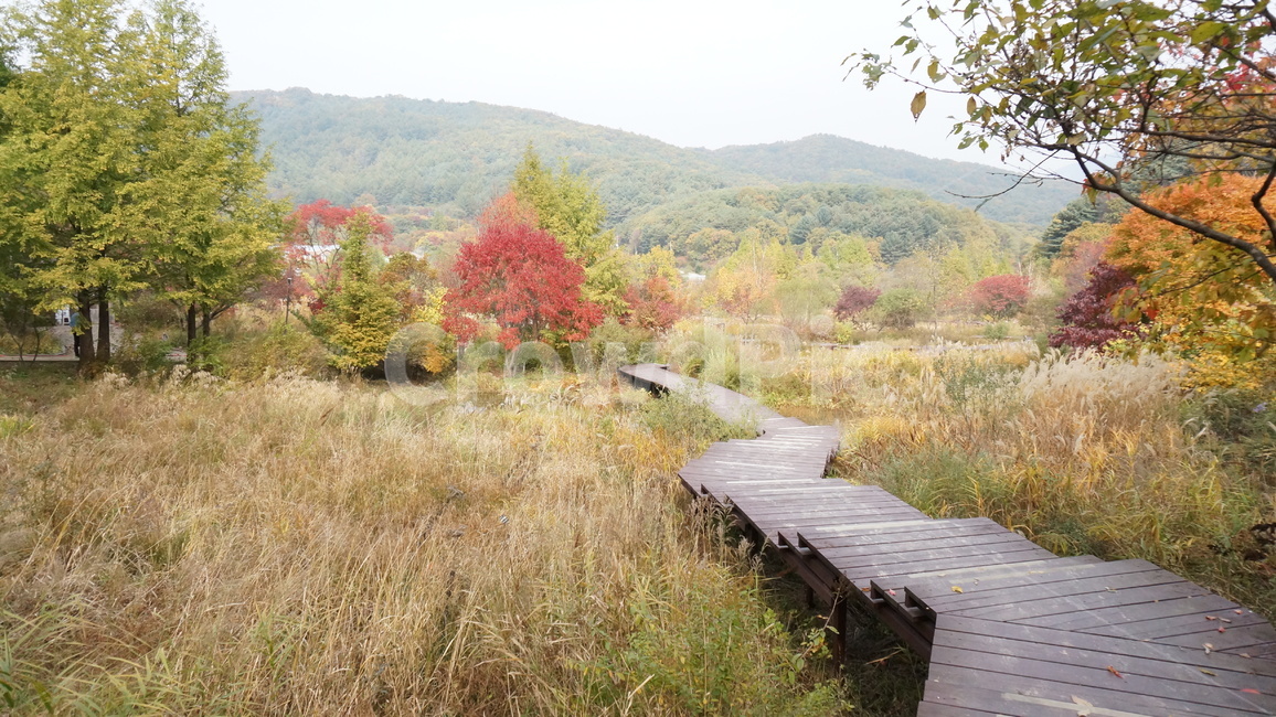 포천,산사원,풍경,정원,공원,나무