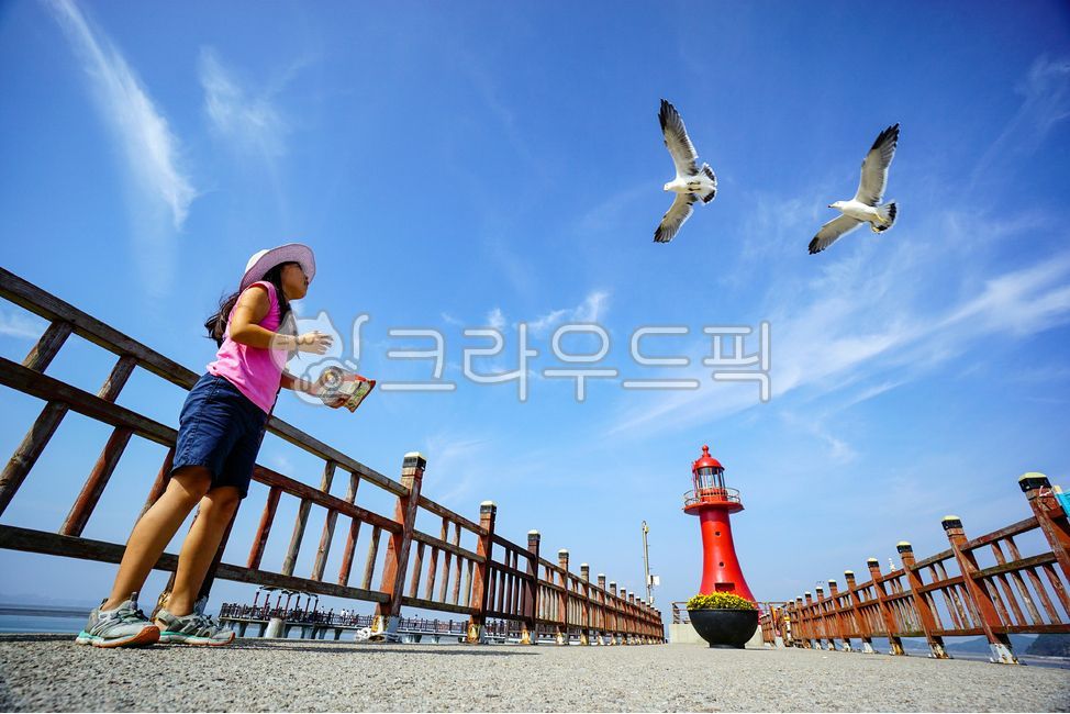 play,blue sky,seabird,woman,lighthouse,Hwaseongsi,snack,childish,clouds,summer,Gyeonggido,elementary school student,feeding,bird,concentric,vacation,hat,Seagull,Fishing Pier,human,gull,Korea,republic of korea,walkway,girl,Jebudo Island,Red Lighthouse,seag