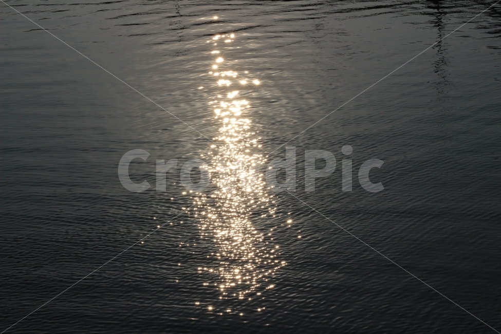 한강,빛,반짝반짝,감성,사진,풍경,출사,이쁜날,자연,풍경,nature,landscape,water,물,outdoors,옥외