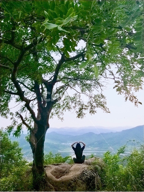 산,나무,풀,사랑,하트,뒷모습,인물