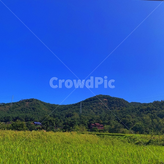 하늘,시골,감성,산,나무,풍경,nature,자연,분위기,푸른하늘,색채,맑음,자연,풍경,nature,landscape