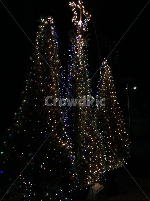 크리스마스,트리,나무,전구,빛,christmas,tree,bulb,light,kurisumasu,tsurii,ki,denkyuu,hikari,밤,night,yoru,전기,electrocity,denki,겨울,계절,winter,season,야경,밤,풍경,nightscape,night,landscape,기념일,축하,anniversary,congratulation,celebrate,celebration,메리크리스마스,성탄절,merry christmas,plant,식물,ornament,장식,christmas tree,크리스마스 트리