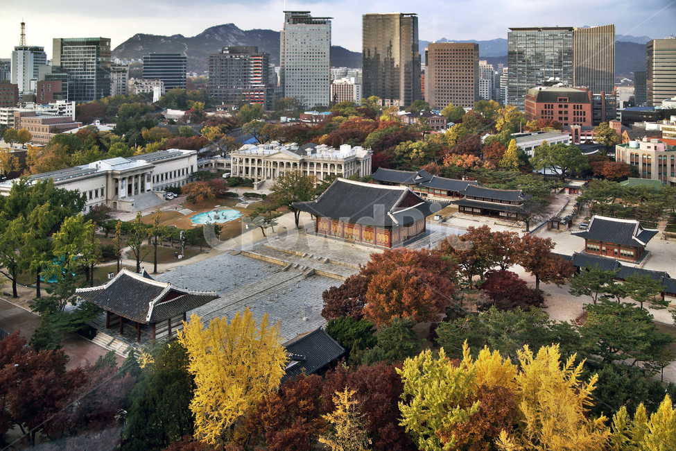 덕수궁,궁궐,가을,계절,서소문,도심,빌딩,건물,한국전통,한국문화,korean traditional,korean culture