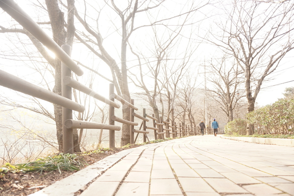 산책,호수,호숫가,walk,takeawalk,풍경,거리,stroll,울산선암호수공원,선암호수공원,울산공원,호수공원,산책로,감성사진,자연,풍경,nature,landscape,path,통로,walkway,보도