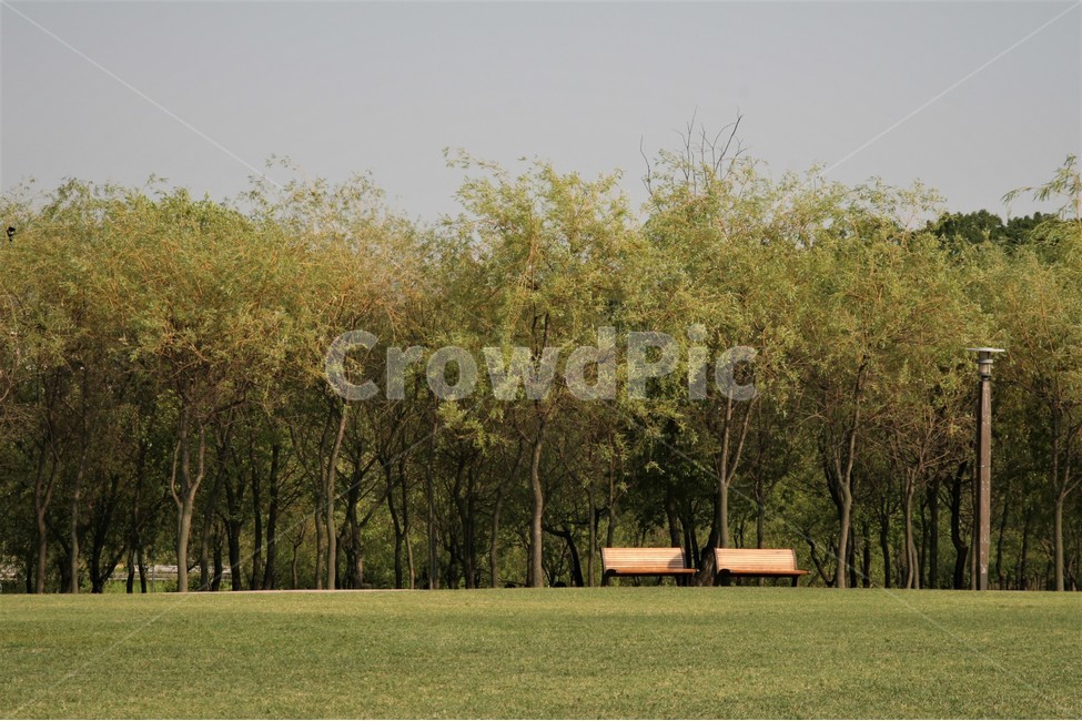 북서울,꿈의숲,나무,공원,벤치,자연,풍경,nature,landscape,휴식,힐링,rest,relaxation,healing,plant,식물,grass,잔디