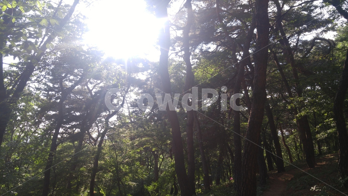 풍경,하늘,한국,korea,구름