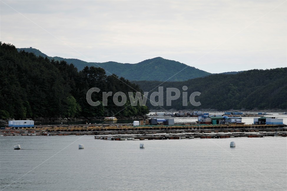남해,바다,가두리,양식장,풍경,자연,풍경,nature,landscape,산업,industry,industrial,어업,fishery,fishing industry,water,물,land,땅,outdoors,옥외