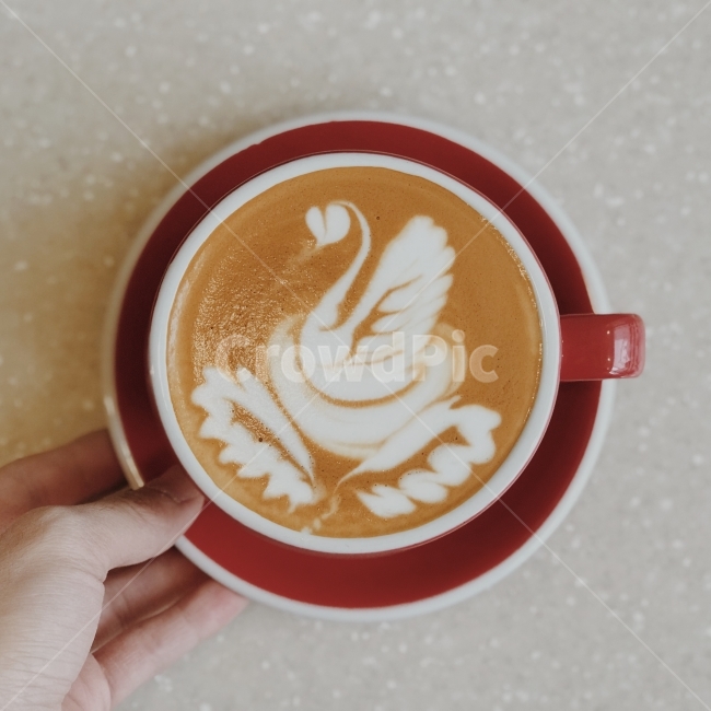 라떼아트,아트,커피,카페라떼,백조,커피,카페,coffee,cafe,감성,sensible,feeling