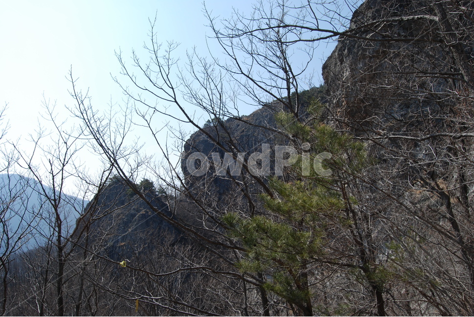 밀양재약산,천황산,재약산사자평원,결빙지,얼음골,등산로,능선,치유,여행,돌,산행,힐링,자연,동행,등산,계절,한국,한국명산,한국등산,풍경,나무,하늘,바람,땅,자연,풍경,nature,landscape,한국자연풍경,한국자연경관,korea nature landscape,outdoors,옥외
