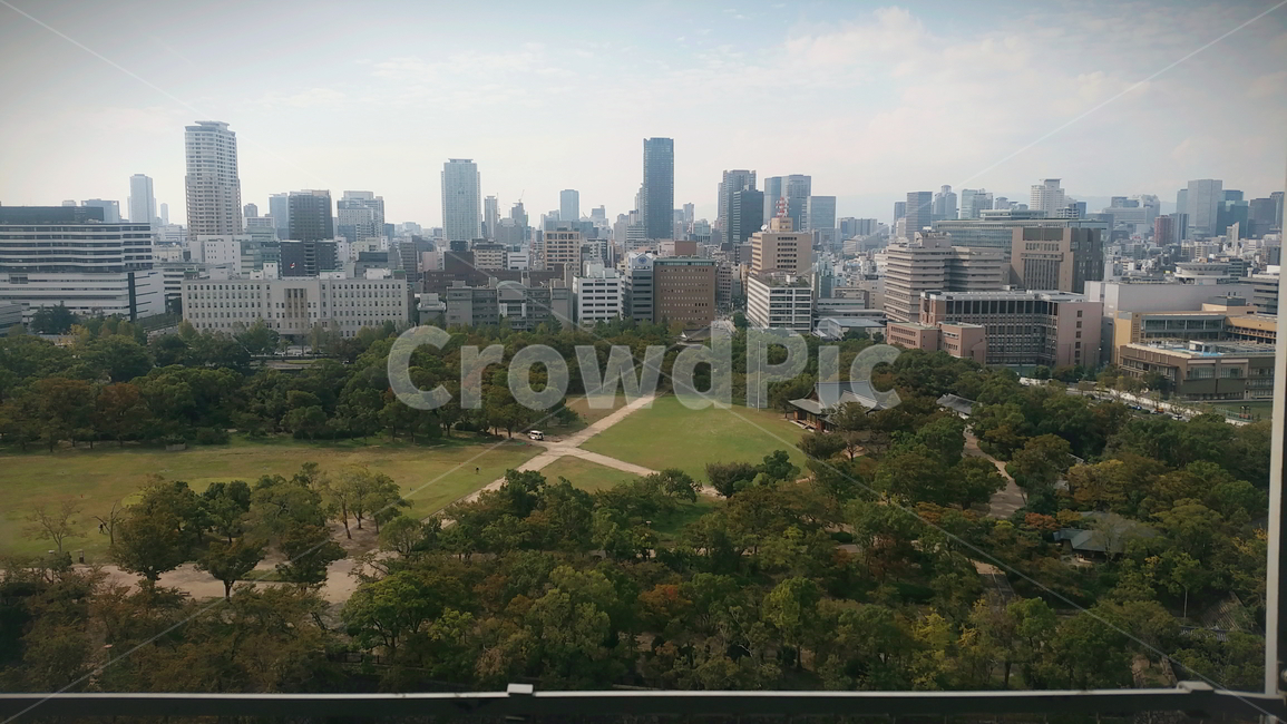 공원,공터,도시,전경,일본,도심