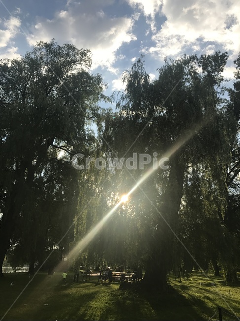 토론토,캐나다,야경,노을,외국,sunset,cityview,toronto,canada,peaceful,cntower,niceview,torontoisland