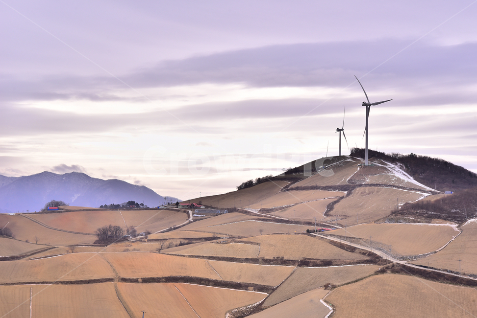 풍경,산촌,풍력,산업,밭,흙,엔진,engine,motor,모터,machine,기계,nature,자연,옥외,outdoors,야외,경작지,고냉지,겨울풍경,능선,산,농경지,산업,industry,industrial,에너지산업,energy industry