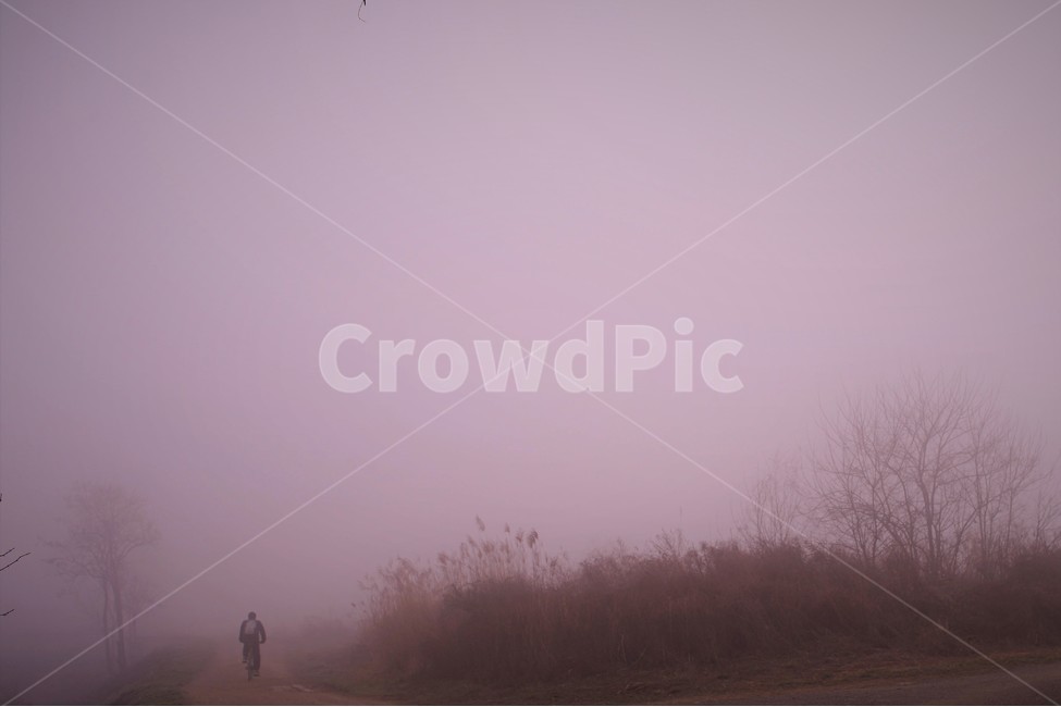 안개,새벽,자전거,라이너,겨울,사람,남자