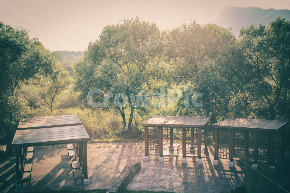 nature,자연,옥외,일몰,생태습지,습지,자연,풍경,nature,landscape