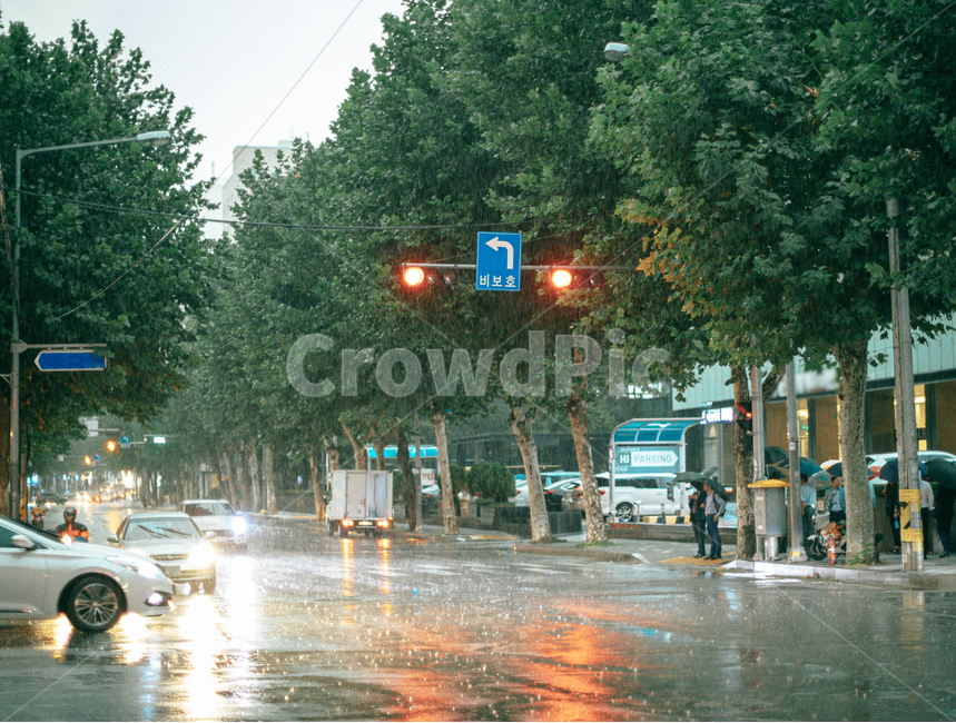 비,비오는풍경,비오는거리,흐린날씨,폭우,도로,보행자,교통,road,신호등,횡단보도,도시,풍경,city,landscape,비,비오는날,rain,rainy,pedestrian,automobile,자동차,vehicle,차량,transportation,car,차