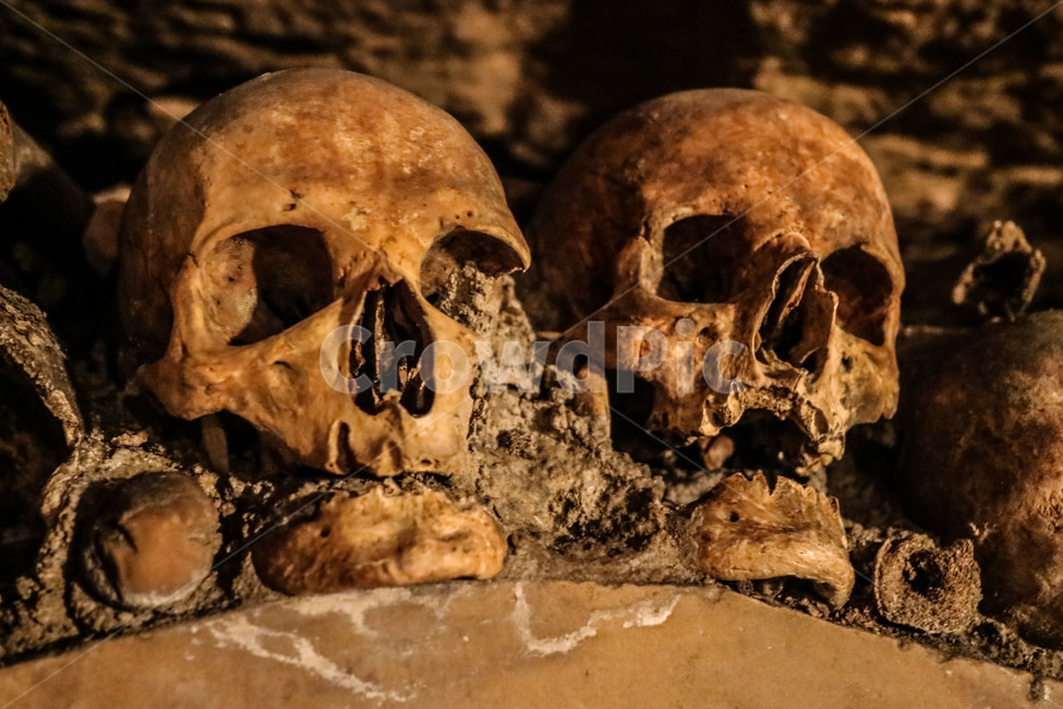 해골,카타콤,유적,지하묘지,유적지,묘지,skull,스컬,catacombs,파리,paris,공포,호러,무서운,무서움,horror,terror,fear